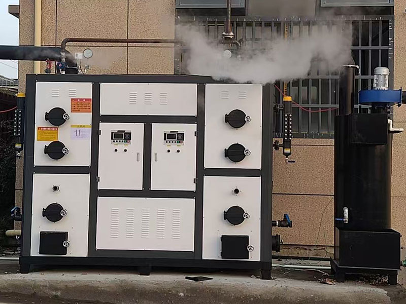 浙江黄花菜加工现场